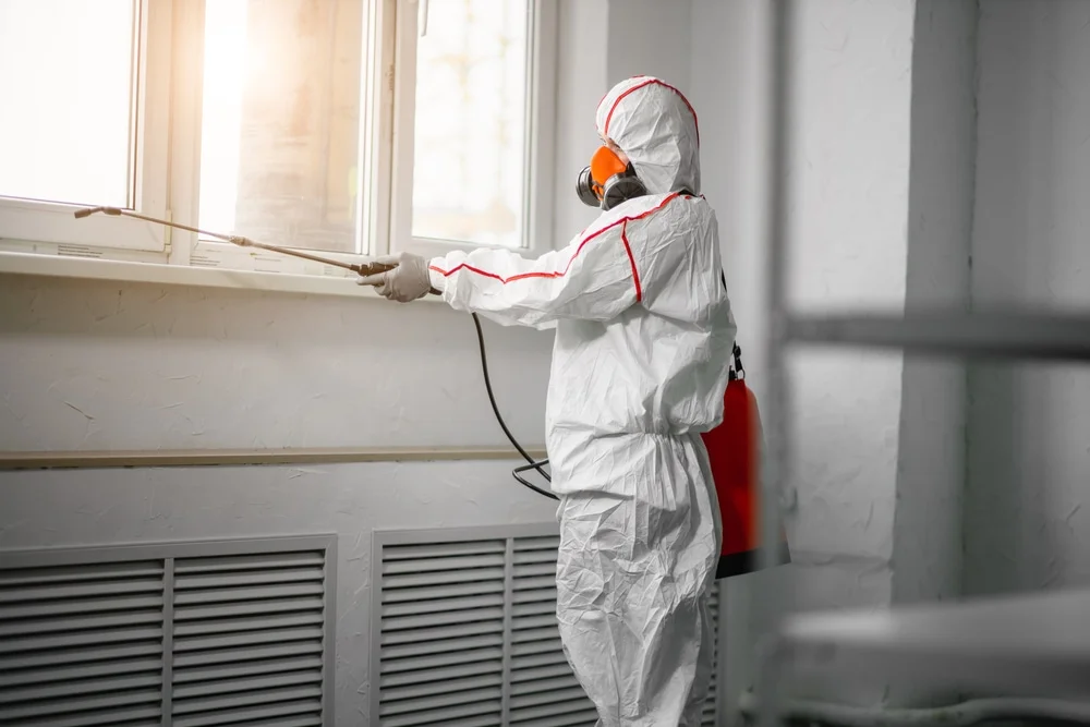 Professional mold remediation services in Walling, TN